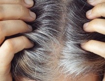 Las canas blancas son las más comunes y aparecen cuando el cabello ha perdido toda la melanina y la acumulación de aire en la fibra capilar. ESPECIAL / CANVA