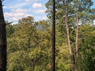 Jalisco es una opción completa para vacacionar: entre playas, la ciudad y los bosques, el Estado tiene alternativas tanto para el descanso como para la aventura. EL INFORMADOR / O. López