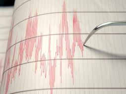 De acuerdo con el organismo, el movimiento se registró a las 18:51:15 horas. ESPECIAL