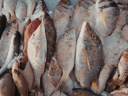 Comer piel de pescado puede aportar beneficios nutricionales importantes, especialmente por su contenido en grasas saludables y colágeno. CANVA