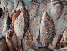 Comer piel de pescado puede aportar beneficios nutricionales importantes, especialmente por su contenido en grasas saludables y colágeno. CANVA