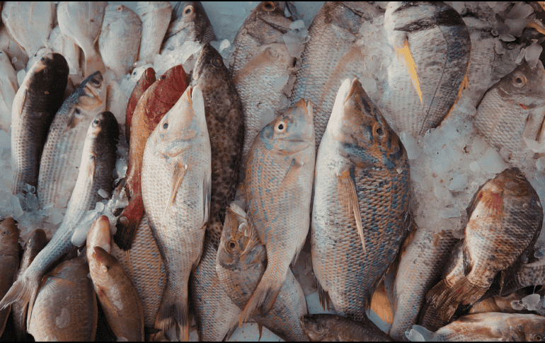 Comer piel de pescado puede aportar beneficios nutricionales importantes, especialmente por su contenido en grasas saludables y colágeno. CANVA