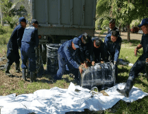 Y el viernes elementos de distintas corporaciones e instituciones reportaron que llevaron a cabo la limpieza de 34 playas del centro y sur de Veracruz que habían sido afectadas por manchas de hidrocarburo. ESPECIAL
