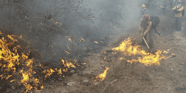 Incendio forestal se registra en el Bosque La Primavera