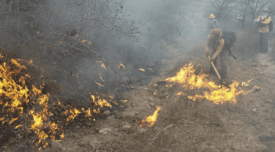 El incendió comenzó alrededor de las 13:00 horas; no se reportan personas lesionadas tras los hechos. PROTECCIÓN CIVIL Y BOMBEROS DE JALISCO