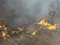 El incendió comenzó alrededor de las 13:00 horas; no se reportan personas lesionadas tras los hechos. PROTECCIÓN CIVIL Y BOMBEROS DE JALISCO