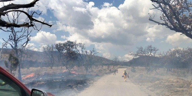 Incendio en La Primavera: Activan alerta atmosf&eacute;rica por incendio en el Bosque
