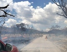 Se desconocen el área afectada, así como las causas del siniestro. CORTESÍA