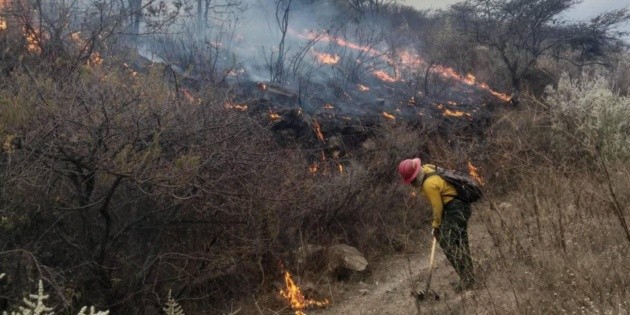 Incendio forestal consume m&aacute;s de 100 hect&aacute;reas del Bosque la Primavera