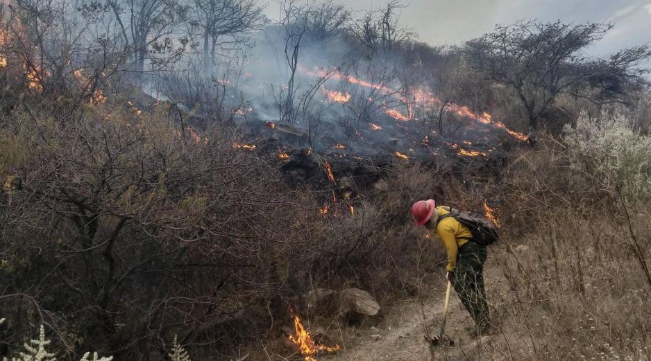La Semadet activó una alerta atmosférica a causa del incendio forestal. CORTESÍA/ Protección Civil
