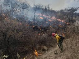 Alrededor de 100 brigadistas trabajaron en la contención del fuego. ESPECIAL / PROTECCIÓN CIVIL Y BOMBEROS DEL ESTADO