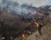 Alrededor de 100 brigadistas trabajaron en la contención del fuego. ESPECIAL / PROTECCIÓN CIVIL Y BOMBEROS DEL ESTADO