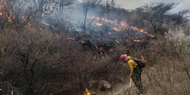 Incendio en el Bosque de la Primavera suma m&aacute;s de 200 hect&aacute;reas afectadas