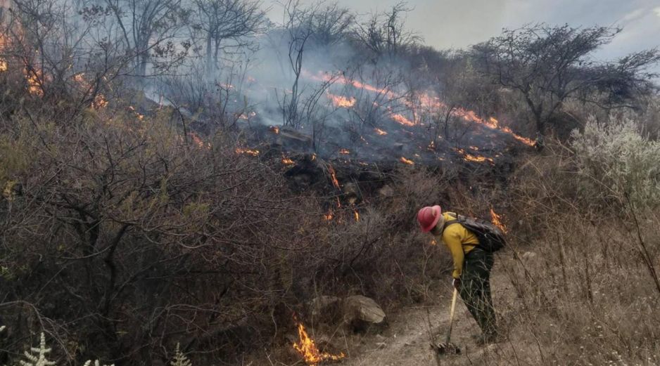 Alrededor de 100 brigadistas trabajaron en la contención del fuego. ESPECIAL / PROTECCIÓN CIVIL Y BOMBEROS DEL ESTADO