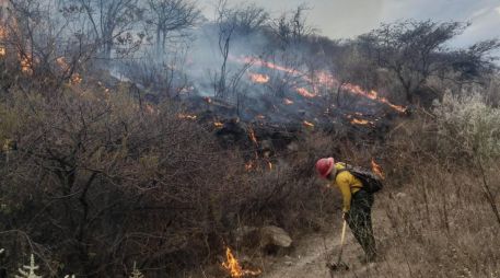 Alrededor de 100 brigadistas trabajaron en la contención del fuego. ESPECIAL / PROTECCIÓN CIVIL Y BOMBEROS DEL ESTADO