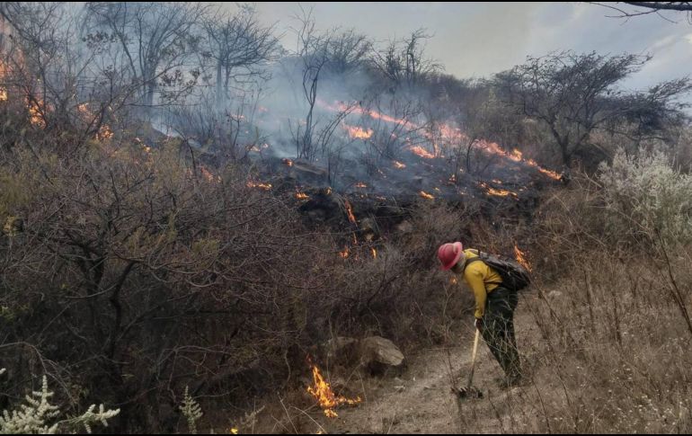 Alrededor de 100 brigadistas trabajaron en la contención del fuego. ESPECIAL / PROTECCIÓN CIVIL Y BOMBEROS DEL ESTADO