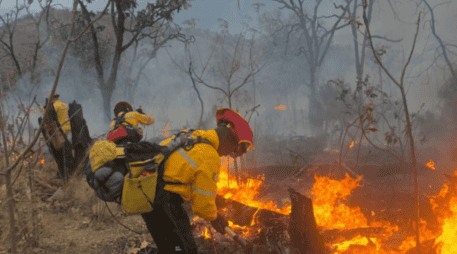 El incendio en el Bosque La Primavera se registró el pasado domingo 22 de marzo. X / @PCJalisco