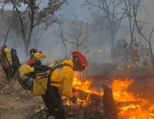 El incendio en el Bosque La Primavera se registró el pasado domingo 22 de marzo. X / @PCJalisco