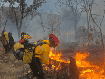 El incendio en el Bosque La Primavera se registró el pasado domingo 22 de marzo. X / @PCJalisco
