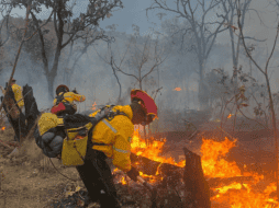 El incendio en el Bosque La Primavera se registró el pasado domingo 22 de marzo. X / @PCJalisco