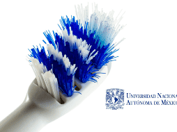 De acuerdo con recomendaciones difundidas por la UNAM, estos son los pasos básicos para mantener tu cepillo limpio. CANVA