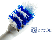 De acuerdo con recomendaciones difundidas por la UNAM, estos son los pasos básicos para mantener tu cepillo limpio. CANVA