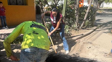 Según datos de la legisladora, se estima que a la fecha persisten más de siete mil zonas afectadas por baches, zanjas y socavones. ESPECIAL