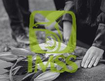 Con esta modificación, el IMSS deberá otorgar la pensión de viudez sin tomar en cuenta el tiempo que duró la relación. ESPECIAL