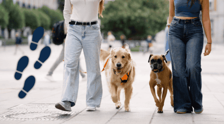 Además, caminar al aire libre tiene beneficios adicionales, como la exposición a la vitamina D del sol y la mejora del estado de ánimo. ESPECIAL / CANVA