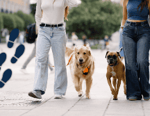 Además, caminar al aire libre tiene beneficios adicionales, como la exposición a la vitamina D del sol y la mejora del estado de ánimo. ESPECIAL / CANVA