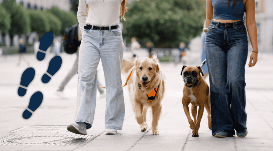 Además, caminar al aire libre tiene beneficios adicionales, como la exposición a la vitamina D del sol y la mejora del estado de ánimo. ESPECIAL / CANVA