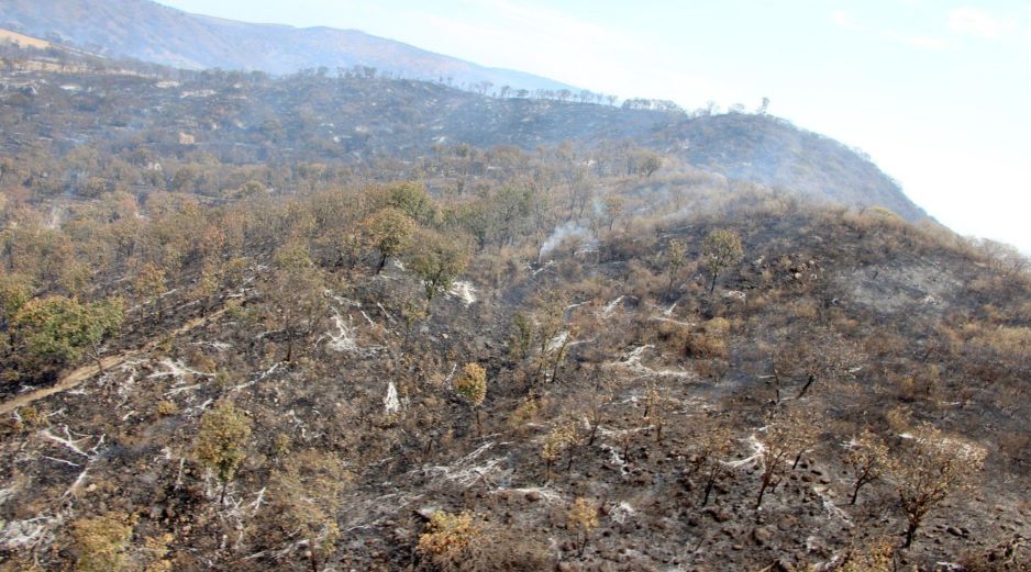 El incendio en La Primavera dejó daños en la vegetación, por lo que expertos continúan evaluando el impacto en el ecosistema. CORTESÍA