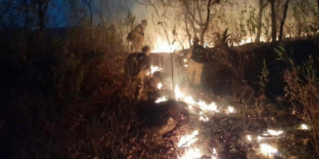 Jalisco acumula m&aacute;s de seis mil 500 incendios forestales en los &uacute;ltimos siete a&ntilde;os