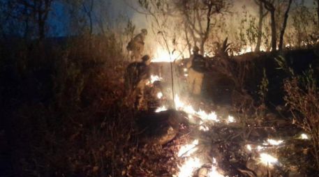 Entre 2018 y 2025, el Bosque La Primavera ha registrado al menos 474 incendios forestales. EL INFORMADOR/ARCHIVO