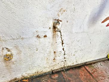 Agua turbia y con olor a drenaje brota de la llave en las viviendas de la ciudad, reflejando fallas en el sistema.  EL INFORMADOR/M. Hernández