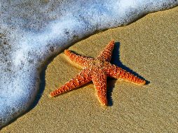 Disfruta de una relajante estadía junto al mar en estas vacaciones de Semana Santa, reservando a través de Liverpool. Unsplash