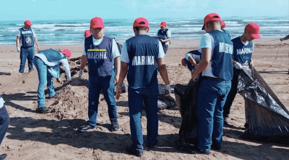 Durante estas acciones, se realizó un recorrido de aproximadamente 15 kilómetros de litoral de Veracruz. ESPECIAL/SUN