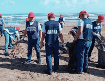 Durante estas acciones, se realizó un recorrido de aproximadamente 15 kilómetros de litoral de Veracruz. ESPECIAL/SUN