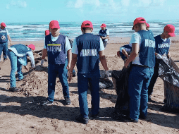 Durante estas acciones, se realizó un recorrido de aproximadamente 15 kilómetros de litoral de Veracruz. ESPECIAL/SUN
