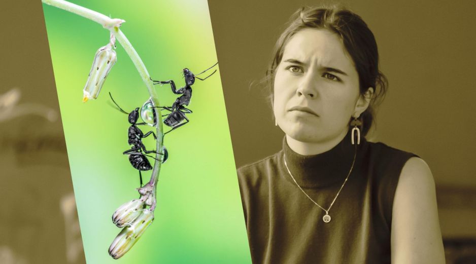 La presencia de estos bichos en casa puede ser un indicador positivo para la energía de tu hogar. UNSPLASH / A. Qourti / D. Bek