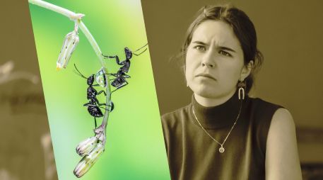 La presencia de estos bichos en casa puede ser un indicador positivo para la energía de tu hogar. UNSPLASH / A. Qourti / D. Bek