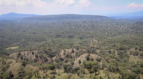 El Bosque La Primavera fue decretado como Área Natural Protegida hace 46 años. EL INFORMADOR / ARCHIVO
