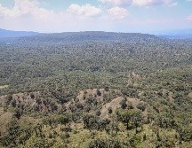 El Bosque La Primavera fue decretado como Área Natural Protegida hace 46 años. EL INFORMADOR / ARCHIVO