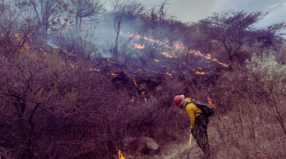 El titular del OPD Bosque La Primavera, Gabriel Vázquez Sánchez, dio información sobre los incendios y las invasiones en la localidad. ESPECIAL / Protección Civil y Bomberos
