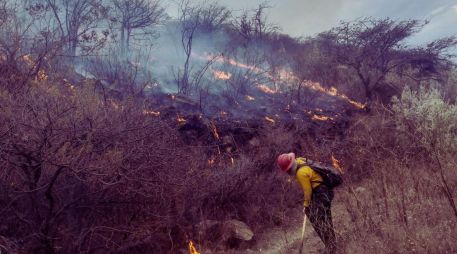 El titular del OPD Bosque La Primavera, Gabriel Vázquez Sánchez, dio información sobre los incendios y las invasiones en la localidad. ESPECIAL / Protección Civil y Bomberos