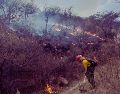 El titular del OPD Bosque La Primavera, Gabriel Vázquez Sánchez, dio información sobre los incendios y las invasiones en la localidad. ESPECIAL / Protección Civil y Bomberos