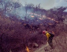 El titular del OPD Bosque La Primavera, Gabriel Vázquez Sánchez, dio información sobre los incendios y las invasiones en la localidad. ESPECIAL / Protección Civil y Bomberos