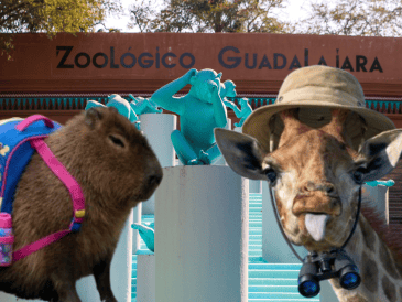 Si planeas aprovechar este curso único para tus niños, te recordamos que el Zoológico Guadalajara se encuentra muy cerca de la Barranca de Huentitán. ESPECIAL/ EL INFORMADOR/ ARCHIVO/ Unsplash