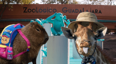 Si planeas aprovechar este curso único para tus niños, te recordamos que el Zoológico Guadalajara se encuentra muy cerca de la Barranca de Huentitán. ESPECIAL/ EL INFORMADOR/ ARCHIVO/ Unsplash
