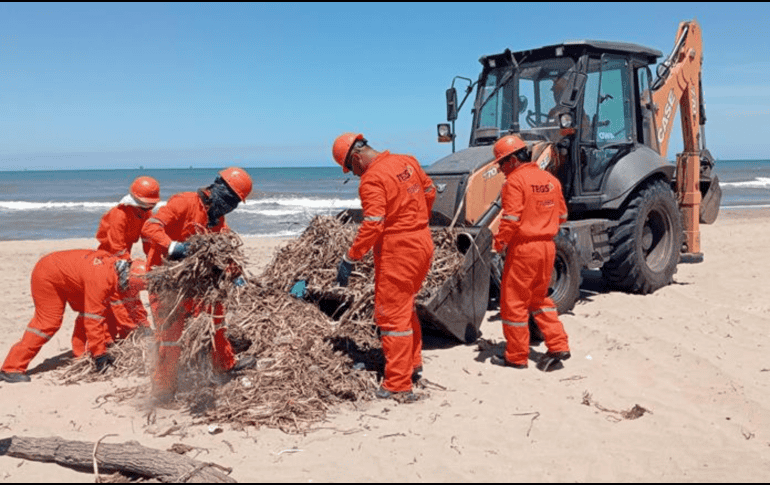 La gobernadora de Veracruz, Rocío Nahle, rechazó inicialmente la existencia del derrame y posteriormente atribuyó la presencia de hidrocarburos a una “chapopotera natural”. EFE/ARCHIVO